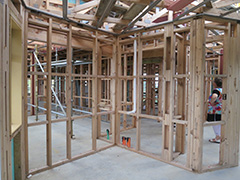 gal/New_House_Photos/Cladding,_Stairs,_Plumbing,_Wiring/_thb_IMG_4814.jpg